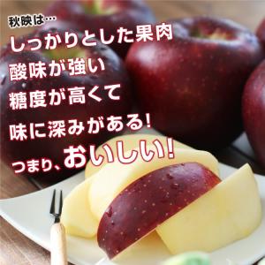 りんご 秋映 3kg 長野県産 秀品 送料無料...の詳細画像4