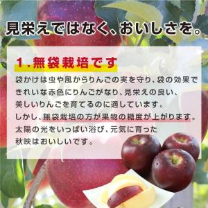 りんご 秋映 3kg 長野県産 秀品 送料無料...の詳細画像5