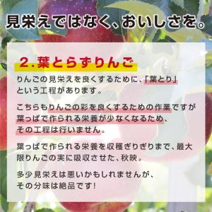 りんご 秋映 5kg 長野県産 秀品 送料無料...の詳細画像5