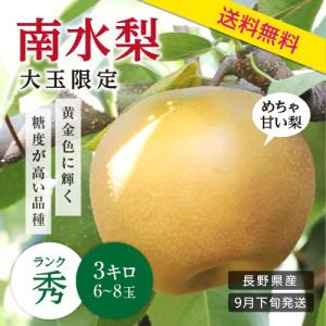 梨 南水 3kg 長野県産 秀品 送料無料 甘い梨 なし 旬の果物 贈答用 贈り物 ギフト