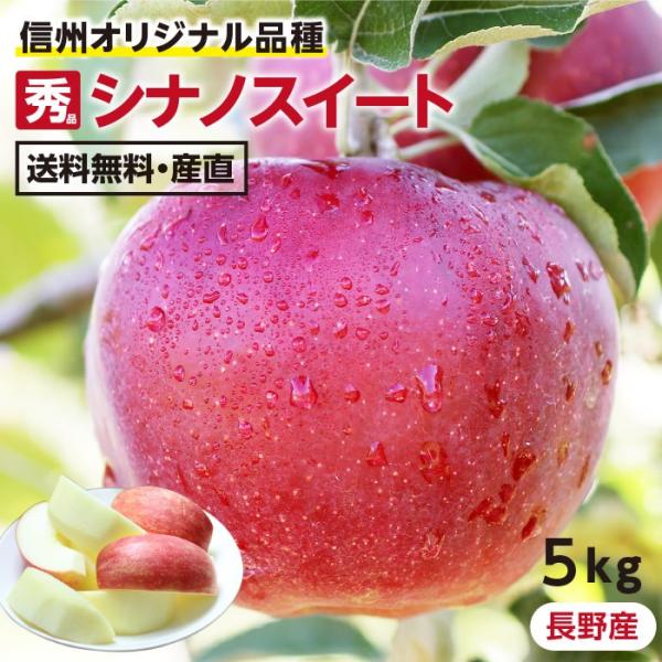りんご シナノスイート 5kg 長野県産 秀品 送料無料 産地直送 -Y10G 葉とらずリンゴ お取...