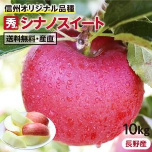 りんご シナノスイート 10kg 長野県産 秀品 送料無料 産地直送 -Y10G 葉とらずリンゴ お取り寄せ 旬の果物 贈答用 贈り物 ギフト 超PayPay祭