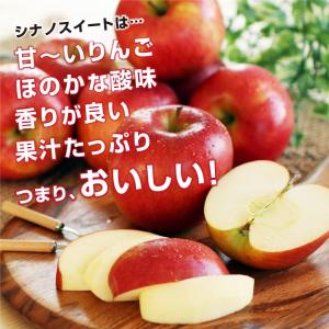 りんご シナノスイート 10kg 長野県産 秀...の詳細画像3