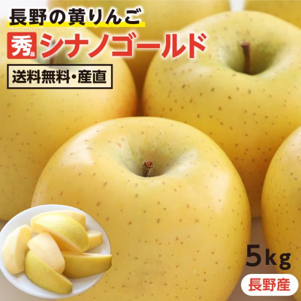 りんご シナノゴールド 5kg 長野県産 秀品 送料無料 産地直送 葉とらずリンゴ -Y11J お取...