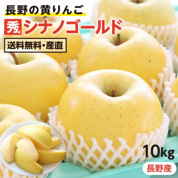 りんご シナノゴールド 10kg 長野県産 秀品 送料無料 産地直送 葉とらずリンゴ -Y11J お...
