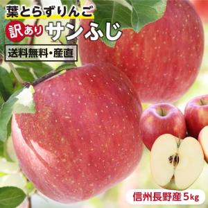 【送料無料】長野県産 りんご 訳あり 5kg サンふじ 産地直送 訳ありリンゴ 傷あり 蜜入り 太陽の光をいっぱい浴びた無袋栽培 信州 サンフジりんご