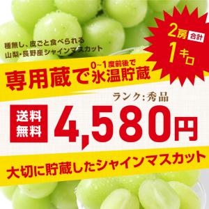 シャインマスカット 誕生日 蔵出し 秀品 2房...の詳細画像2