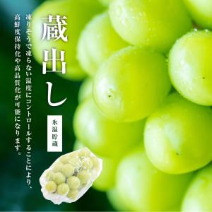 シャインマスカット 誕生日 蔵出し 秀品 2房...の詳細画像3