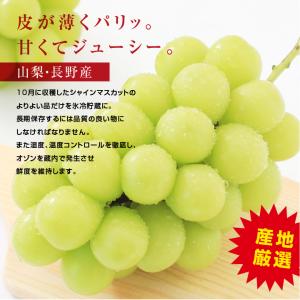 シャインマスカット 誕生日 蔵出し 秀品 2房...の詳細画像5