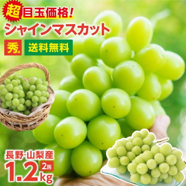 シャインマスカット 秀品 2房 約1.2キロ ＼最安値に挑戦／ 産地厳選 ギフト ぶどう 長野・山梨...