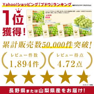 シャインマスカット 秀品 2房 約1.2キロ ...の詳細画像1