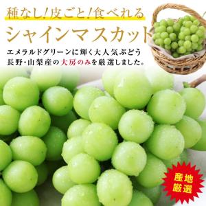 シャインマスカット 秀品 2房 約1.2キロ ...の詳細画像2