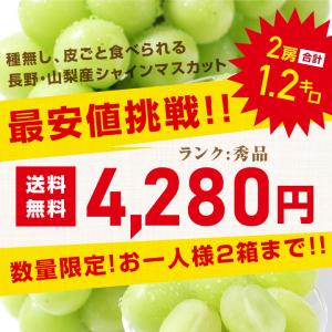 シャインマスカット 秀品 2房 約1.2キロ ...の詳細画像3