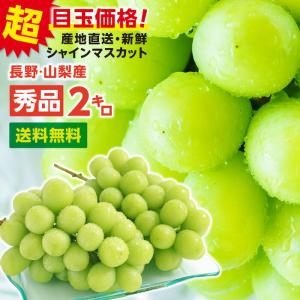 シャインマスカット 約2キロ 秀品 産地厳選 長野・山梨産 一房あたり約400〜800g 送料無料 種なし 皮ごと 高糖度 大人気ぶどう｜山下屋荘介