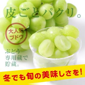 シャインマスカット ギフト 秀品 2kg 3〜...の詳細画像4