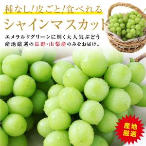 シャインマスカット 約2キロ 秀品 産地厳選 ...の詳細画像2