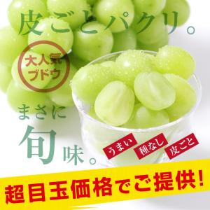 シャインマスカット 約2キロ 秀品 産地厳選 ...の詳細画像4