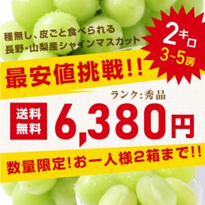 シャインマスカット 約2キロ 秀品 産地厳選 ...の詳細画像3