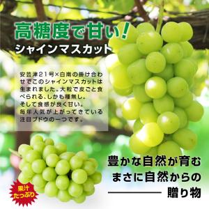 シャインマスカット 約2キロ 秀品 産地厳選 ...の詳細画像5