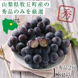 ぶどう 巨峰 種なし 種無し 約1kg 2房 ...の詳細画像2