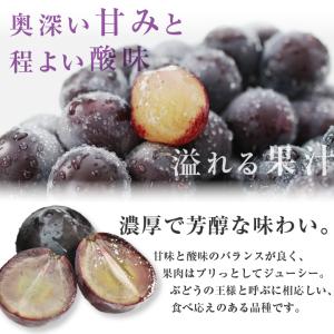 ぶどう 巨峰 種なし 種無し 約1kg 2房 ...の詳細画像3