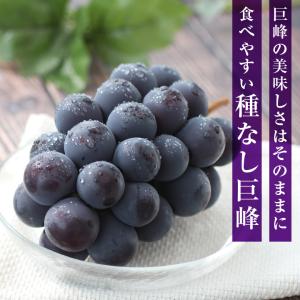 ぶどう 巨峰 種なし 種無し 約1kg 2房 ...の詳細画像4