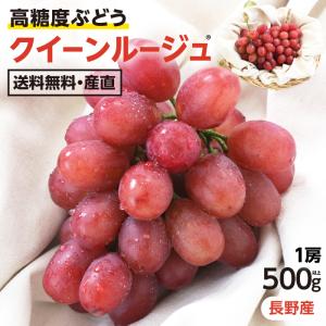 ぶどう クイーンルージュ 種無し 約500g 1房 秀品 送料無料 希少ぶどう 長野県産 -Y09T シャインマスカットを親に持つ高糖度ブドウ 葡萄 超PayPay祭