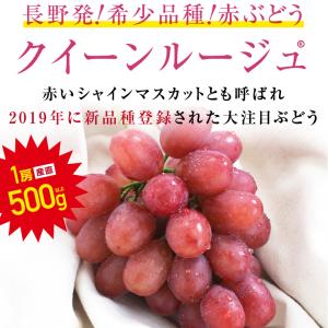 ぶどう クイーンルージュ 種無し 約500g ...の詳細画像1