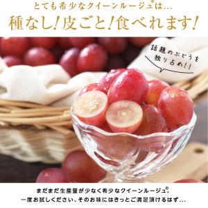 ぶどう クイーンルージュ 種無し 約500g ...の詳細画像5