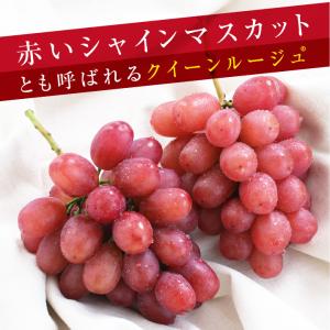 ぶどう クイーンルージュ 種無し 約1kg 2...の詳細画像4