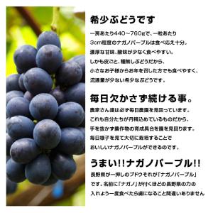 ナガノパープル 大房 約1.2kg 2房 秀品...の詳細画像4