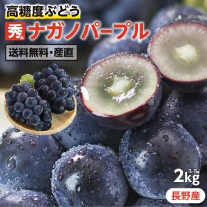 ナガノパープル 約2kg 3〜5房 秀品 長野県産 ぶどう 送料無料 高糖度 種無し 皮ごと食べれる 長野オリジナル品種 葡萄 ブドウ 長野パープル 爆買｜山下屋荘介