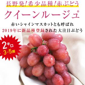ぶどう クイーンルージュ 種無し 約2kg 3...の詳細画像1
