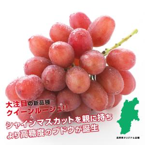 ぶどう クイーンルージュ 種無し 約2kg 3...の詳細画像2