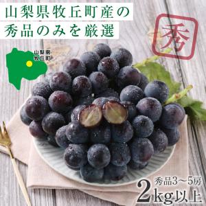 ぶどう 巨峰 種なし 種無し 約2kg 3〜5...の詳細画像2