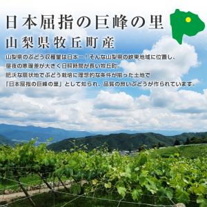 ぶどう 巨峰 種なし 種無し 約2kg 3〜5...の詳細画像5