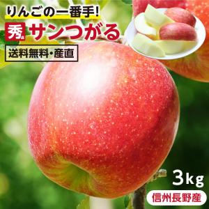 りんご サンつがる 長野県産 3kg 秀品 8〜12玉 送料無料 産地直送 -S09J 葉とらずリンゴ 信州 お取り寄せ フルーツ 旬の果物 ギフト 贈答 超PayPay祭