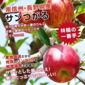 りんご サンつがる 長野県産 3kg 秀品 8...の詳細画像2