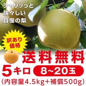 訳あり 梨 5kg 送料無料 長野県産 選べる...の詳細画像2
