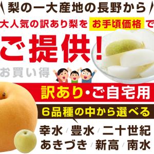 訳あり 梨 10kg 送料無料 長野県産 選べ...の詳細画像1