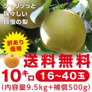 訳あり 梨 10kg 送料無料 長野県産 選べ...の詳細画像2