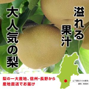 訳あり 梨 10kg 送料無料 長野県産 選べ...の詳細画像4