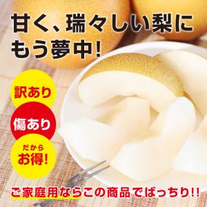 訳あり 梨 10kg 送料無料 長野県産 選べ...の詳細画像5