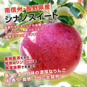 りんご シナノスイート 3kg 秀品 送料無料...の詳細画像2