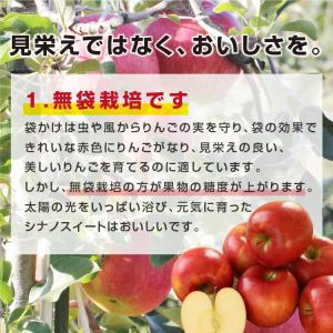 りんご シナノスイート 3kg 秀品 送料無料...の詳細画像4