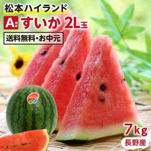 2026 スイカ 長野県産 2Lサイズ 7kg以上 A級品 甘い すいか 松本ハイランド お取り寄せ 送料無料 金曜日出荷 爆買