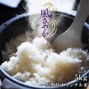 米 新米 5kg 送料無料 長野県産 風さやか 令和7年度産 精米 クリーン米 ( 無洗米 相当 ) 玄米 長野県オリジナル米 | 白米 5キロ お米 冷めてもおいしい 爆買