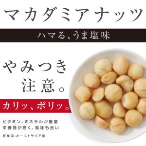 ナッツ マカデミアナッツ 250g オーストラ...の詳細画像3