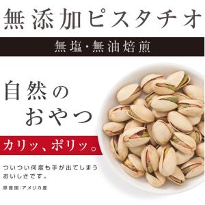 無添加 ピスタチオ 250gアメリカ産 | 人...の詳細画像3