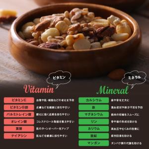 ミックスナッツ 6種 500g (250g×2...の詳細画像3